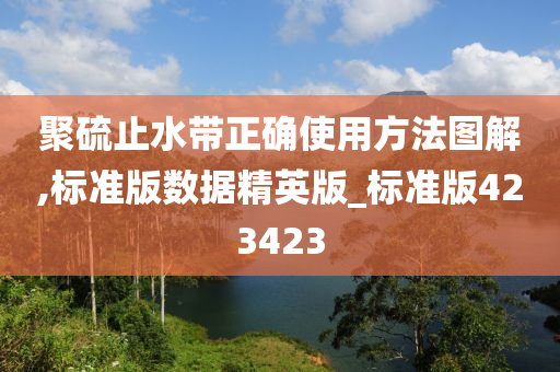 聚硫止水带正确使用方法图解,标准版数据精英版_标准版423423