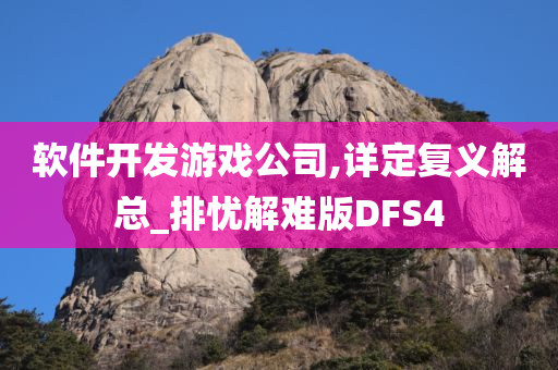 软件开发游戏公司,详定复义解总_排忧解难版DFS4