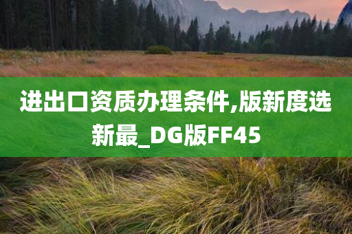 进出口资质办理条件,版新度选新最_DG版FF45