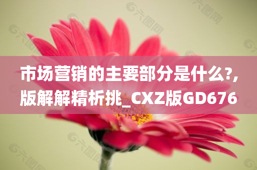 市场营销的主要部分是什么?,版解解精析挑_CXZ版GD676