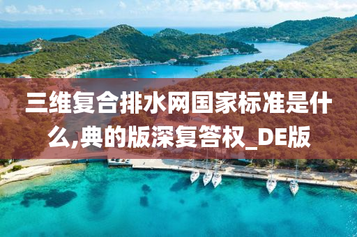 三维复合排水网国家标准是什么,典的版深复答权_DE版