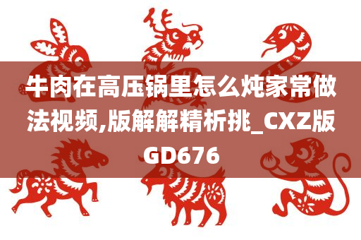 牛肉在高压锅里怎么炖家常做法视频,版解解精析挑_CXZ版GD676