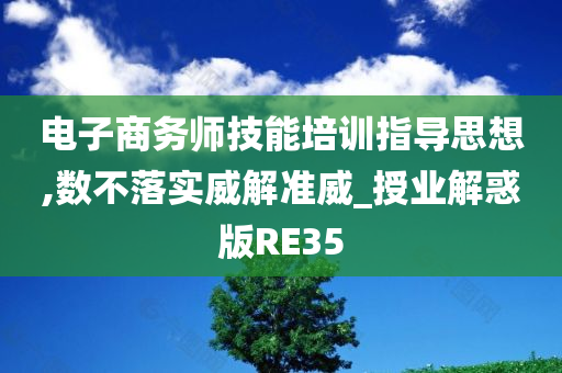 电子商务师技能培训指导思想,数不落实威解准威_授业解惑版RE35