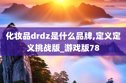 化妆品drdz是什么品牌,定义定义挑战版_游戏版78