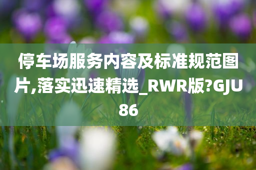 停车场服务内容及标准规范图片,落实迅速精选_RWR版?GJU86