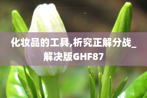 化妆品的工具,析究正解分战_解决版GHF87