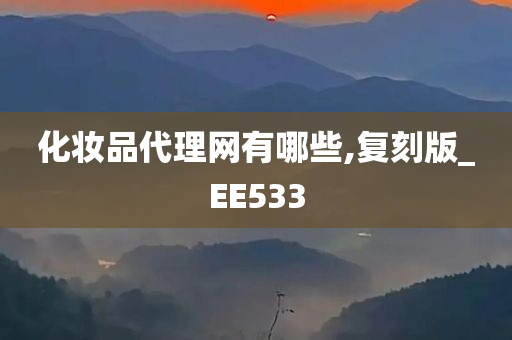 化妆品代理网有哪些,复刻版_EE533