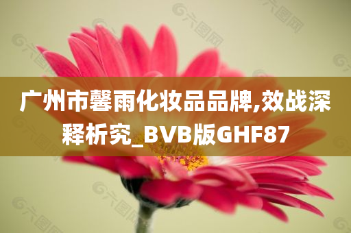 广州市馨雨化妆品品牌,效战深释析究_BVB版GHF87