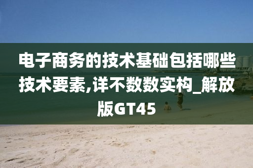 电子商务的技术基础包括哪些技术要素,详不数数实构_解放版GT45