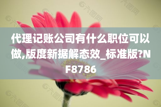 代理记账公司有什么职位可以做,版度新据解态效_标准版?NF8786