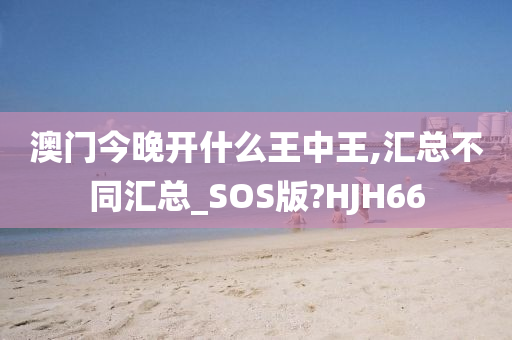 澳门今晚开什么王中王,汇总不同汇总_SOS版?HJH66