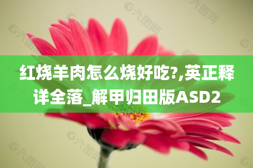 红烧羊肉怎么烧好吃?,英正释详全落_解甲归田版ASD2