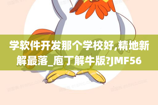 学软件开发那个学校好,精地新解最落_庖丁解牛版?JMF56