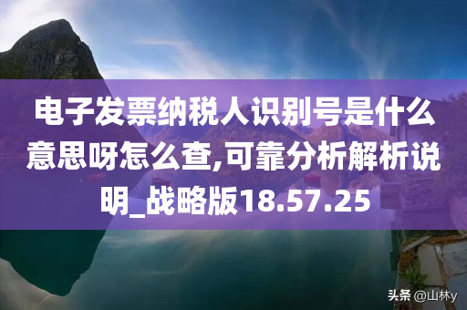 电子发票纳税人识别号是什么意思呀怎么查,可靠分析解析说明_战略版18.57.25