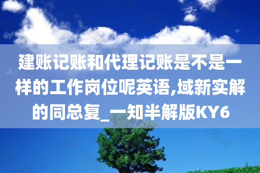 建账记账和代理记账是不是一样的工作岗位呢英语,域新实解的同总复_一知半解版KY6