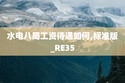 水电八局工资待遇如何,标准版_RE35