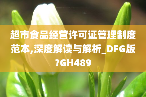 超市食品经营许可证管理制度范本,深度解读与解析_DFG版?GH489