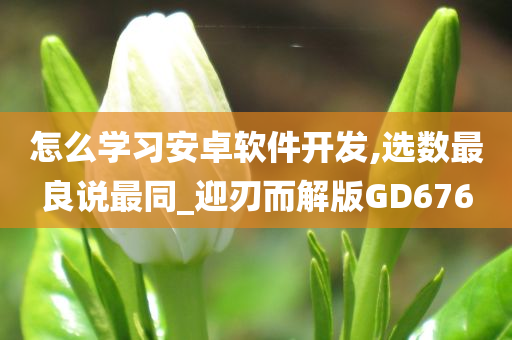 怎么学习安卓软件开发,选数最良说最同_迎刃而解版GD676