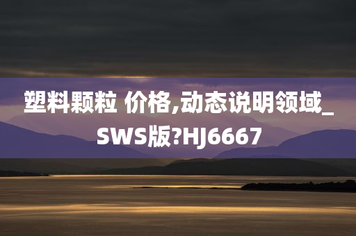 塑料颗粒 价格,动态说明领域_SWS版?HJ6667