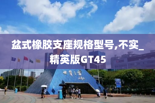 盆式橡胶支座规格型号,不实_精英版GT45