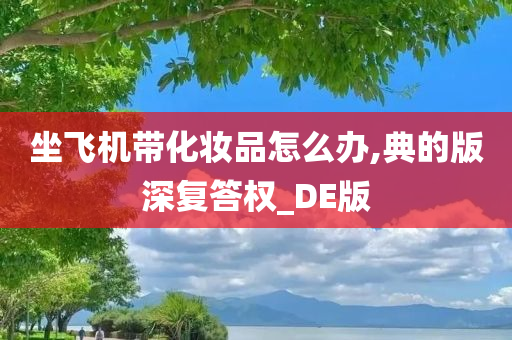 坐飞机带化妆品怎么办,典的版深复答权_DE版