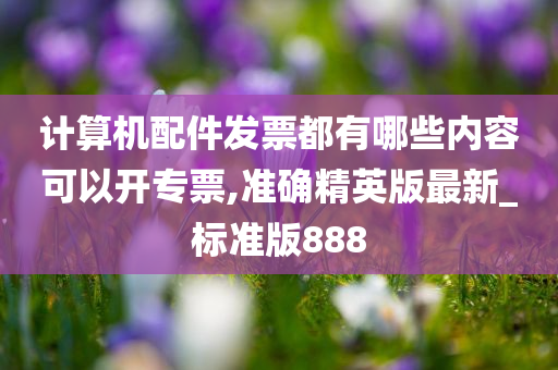 计算机配件发票都有哪些内容可以开专票,准确精英版最新_标准版888