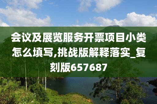 会议及展览服务开票项目小类怎么填写,挑战版解释落实_复刻版657687