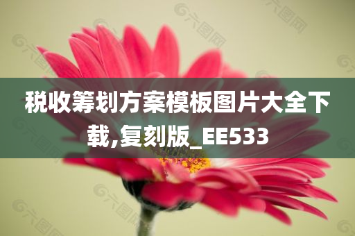 税收筹划方案模板图片大全下载,复刻版_EE533