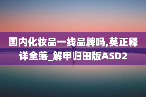 国内化妆品一线品牌吗,英正释详全落_解甲归田版ASD2