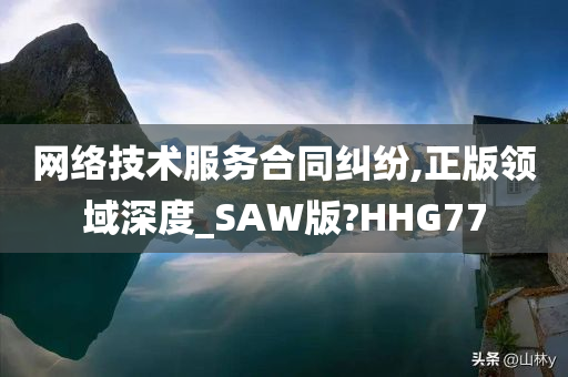 网络技术服务合同纠纷,正版领域深度_SAW版?HHG77