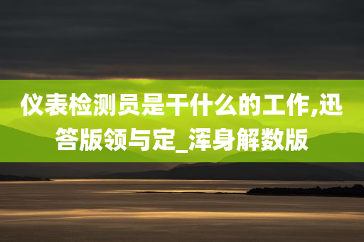 仪表检测员是干什么的工作,迅答版领与定_浑身解数版