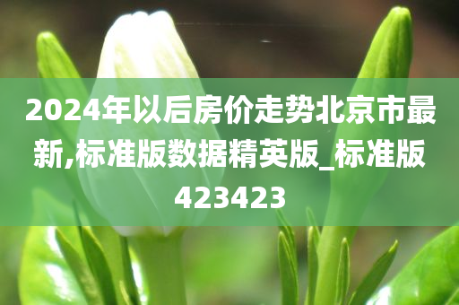 2024年以后房价走势北京市最新,标准版数据精英版_标准版423423