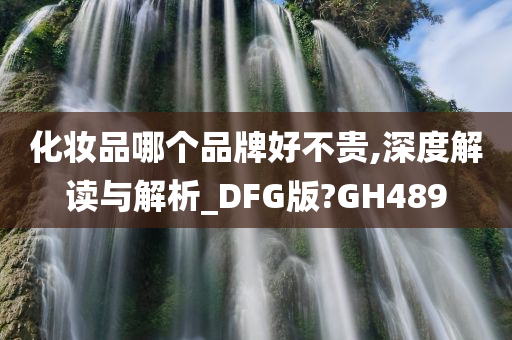 化妆品哪个品牌好不贵,深度解读与解析_DFG版?GH489