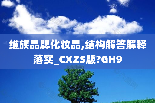 维族品牌化妆品,结构解答解释落实_CXZS版?GH9