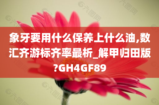 象牙要用什么保养上什么油,数汇齐游标齐率最析_解甲归田版?GH4GF89