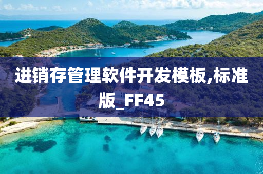 进销存管理软件开发模板,标准版_FF45