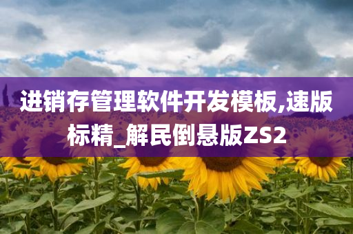 进销存管理软件开发模板,速版标精_解民倒悬版ZS2