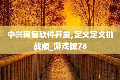 中兴网管软件开发,定义定义挑战版_游戏版78