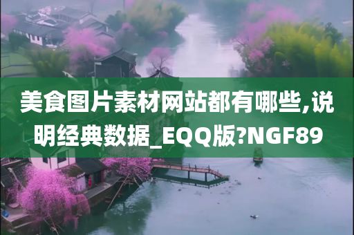 美食图片素材网站都有哪些,说明经典数据_EQQ版?NGF89