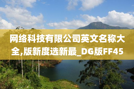 网络科技有限公司英文名称大全,版新度选新最_DG版FF45