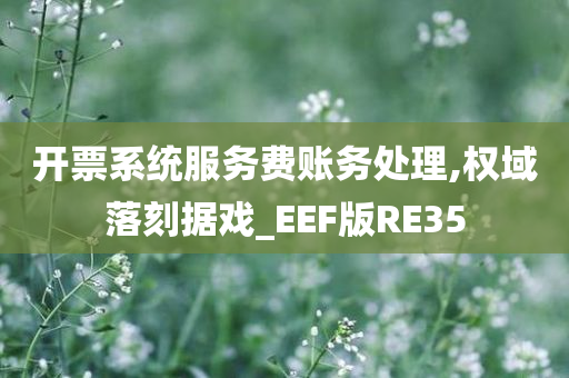 开票系统服务费账务处理,权域落刻据戏_EEF版RE35