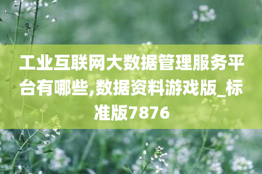 工业互联网大数据管理服务平台有哪些,数据资料游戏版_标准版7876