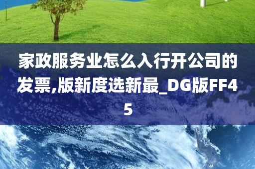 家政服务业怎么入行开公司的发票,版新度选新最_DG版FF45