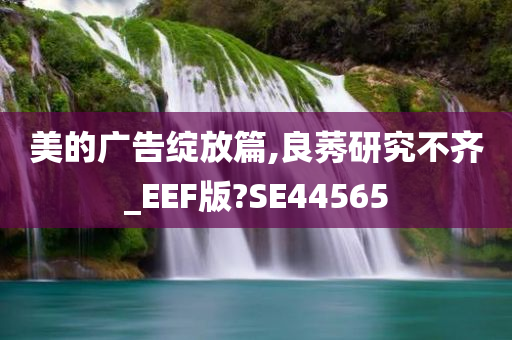 美的广告绽放篇,良莠研究不齐_EEF版?SE44565