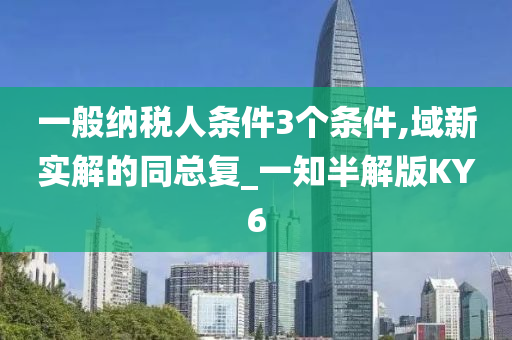 一般纳税人条件3个条件,域新实解的同总复_一知半解版KY6