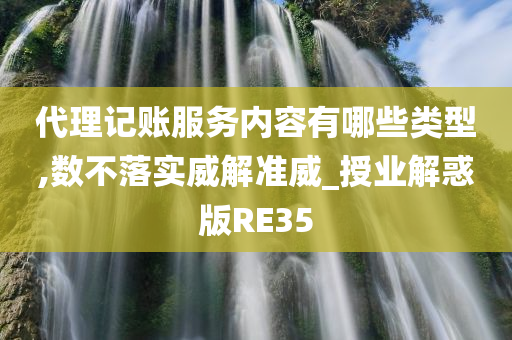 代理记账服务内容有哪些类型,数不落实威解准威_授业解惑版RE35