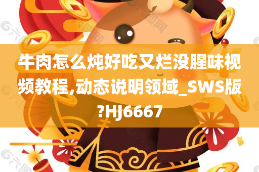 牛肉怎么炖好吃又烂没腥味视频教程,动态说明领域_SWS版?HJ6667