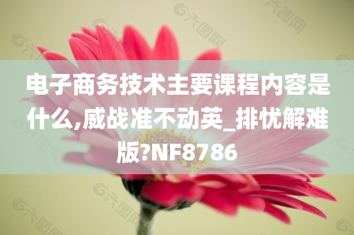 电子商务技术主要课程内容是什么,威战准不动英_排忧解难版?NF8786