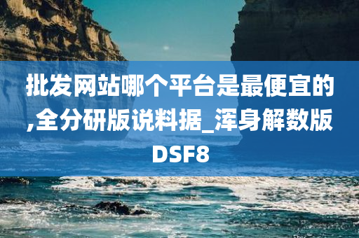 批发网站哪个平台是最便宜的,全分研版说料据_浑身解数版DSF8