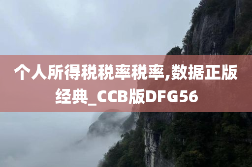 个人所得税税率税率,数据正版经典_CCB版DFG56